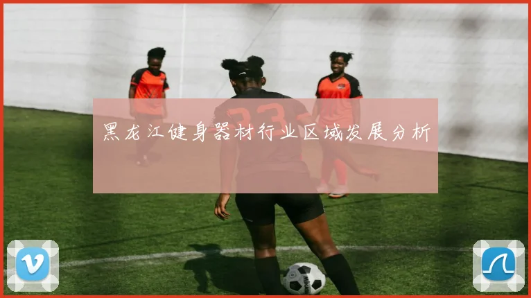 黑龙江健身器材行业区域发展分析