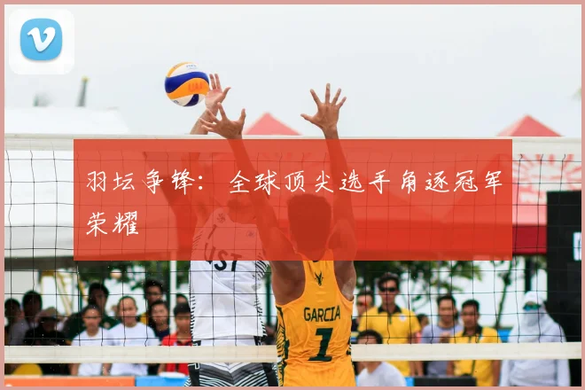 羽坛争锋：全球顶尖选手角逐冠军荣耀